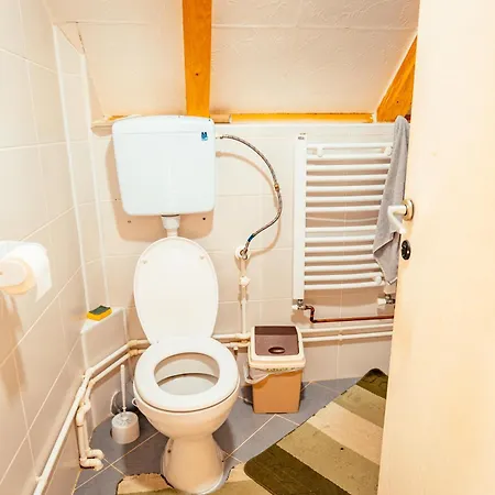 Std Stara Vodenica 招待所 Crni Vrh