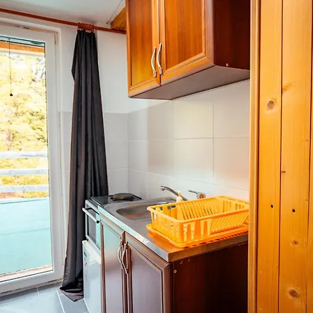 招待所 Std Stara Vodenica Crni Vrh